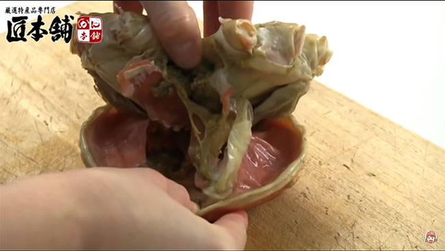 甲羅をはずした